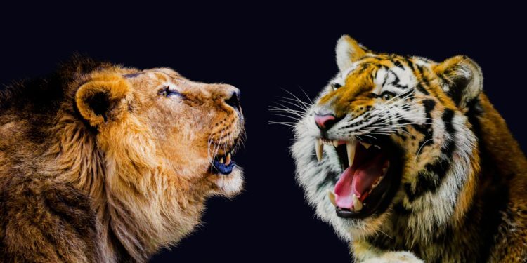 animal-3071324-750×375