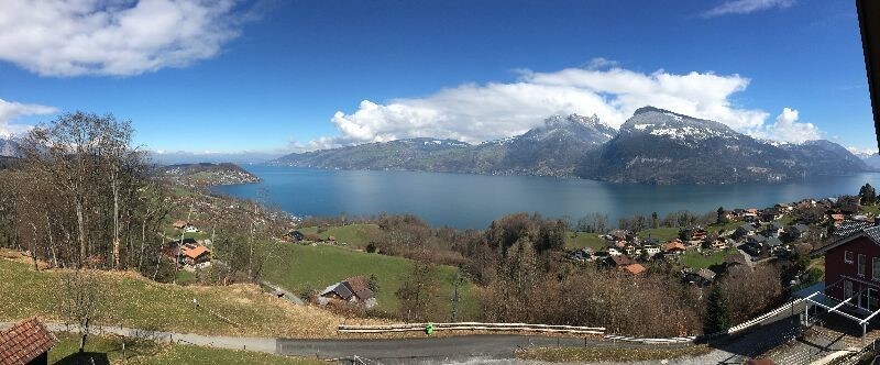 Panorama